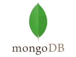 Mongo-DB